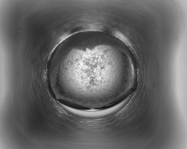 X0000085301260200703161427