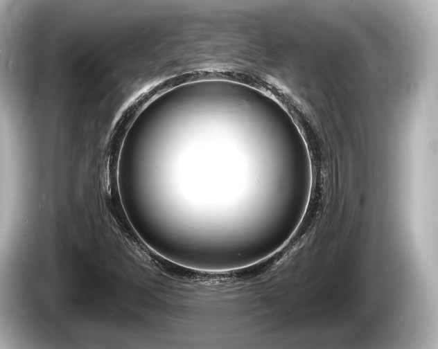 X0000085301262200703161427