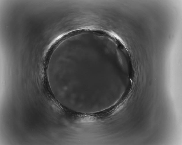 X0000085301263200703161427