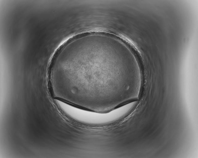 X0000085301264200703161427