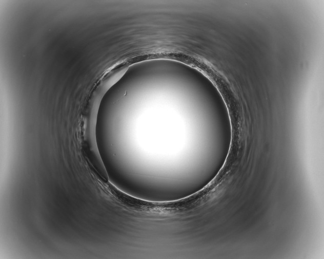 X0000085301265200703161427