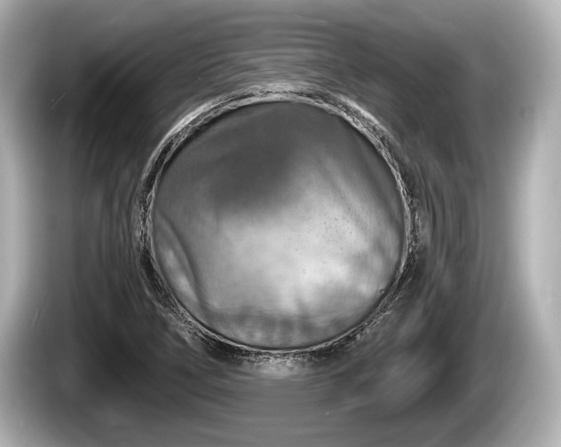 X0000085301266200703161427