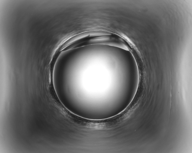 X0000085301269200703161427