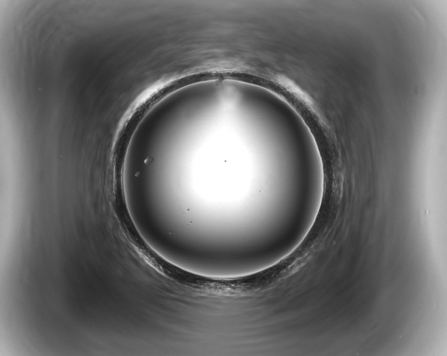 X0000085301270200703161427