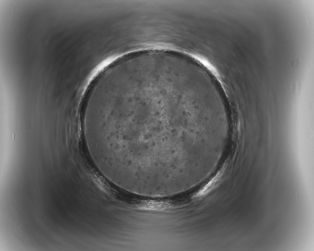 X0000085301271200703161427