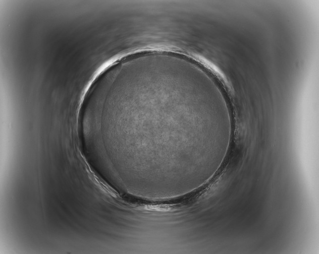 X0000085301272200703161427