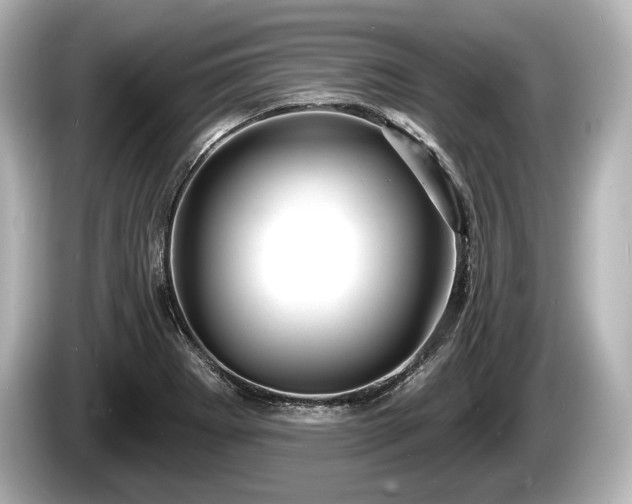 X0000085301273200703161427