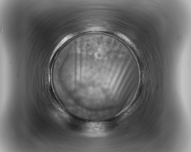 X0000085301274200703161427