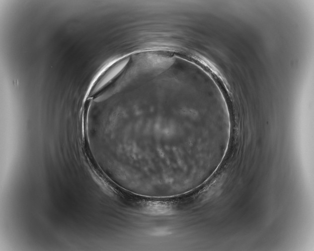 X0000085301275200703161427