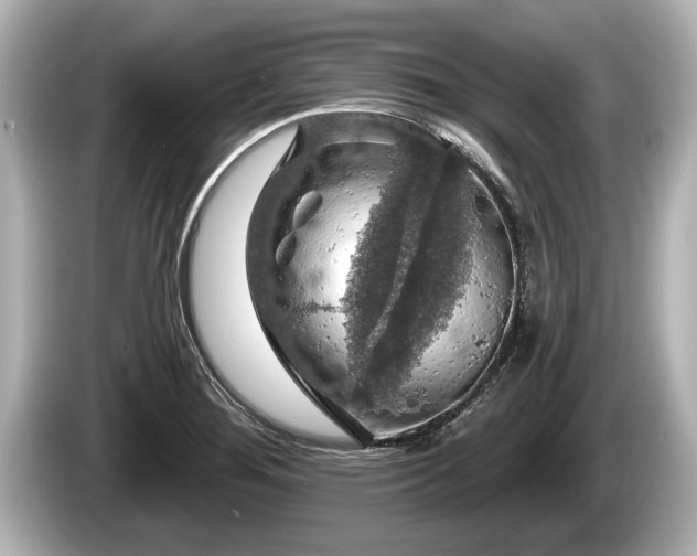 X0000085301276200703161427