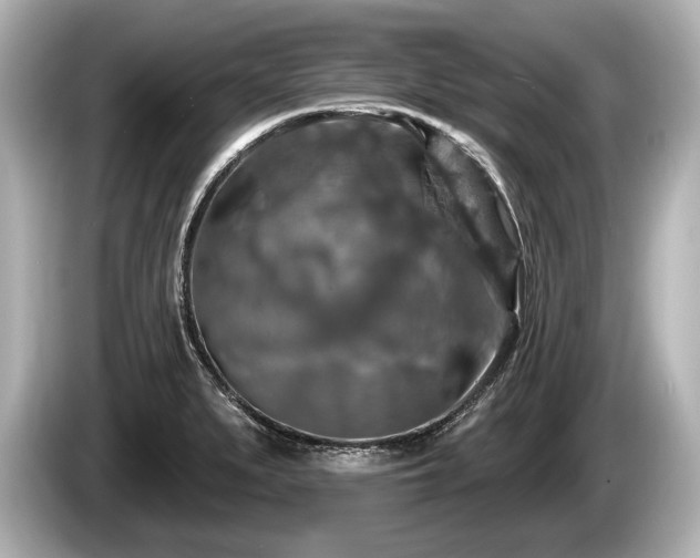 X0000085301279200703161427