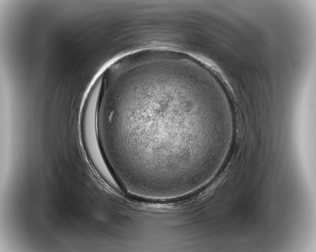 X0000085301280200703161427