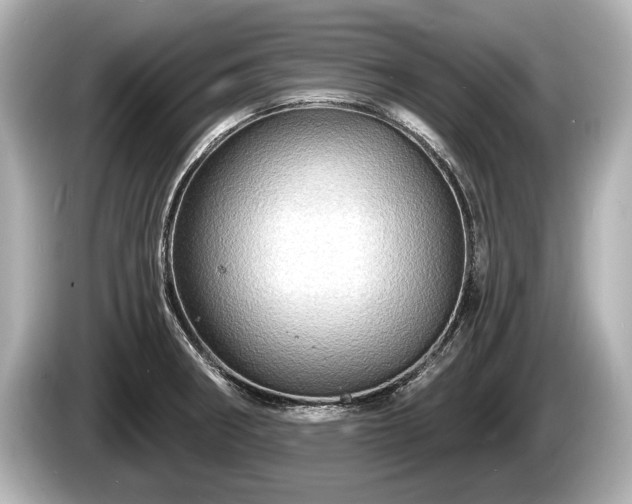 X0000085301282200703161427