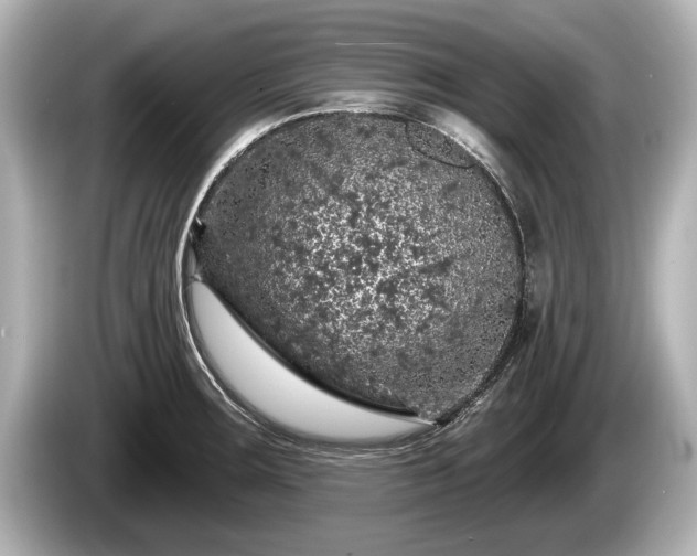 X0000085301283200703161427