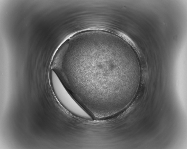 X0000085301284200703161427