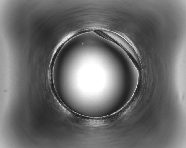 X0000085301285200703161427