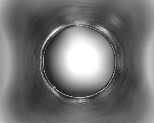 X0000085301286200703161427