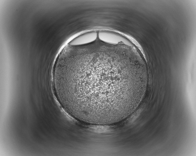 X0000085301287200703161427