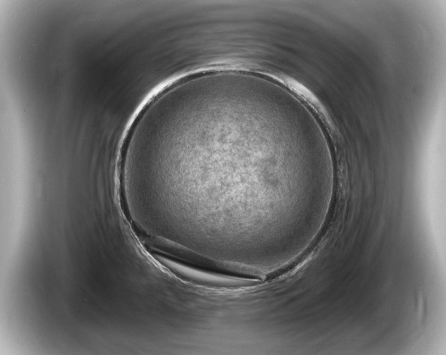 X0000085301288200703161427