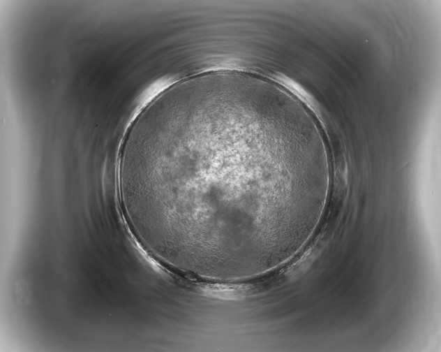 X0000085301290200703161427