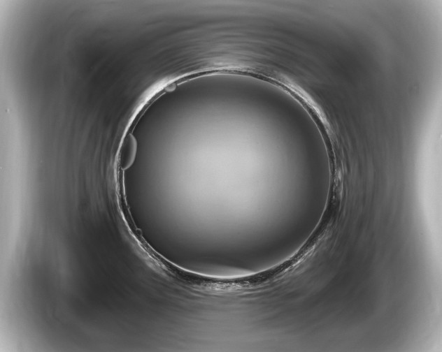 X0000085301291200703161427