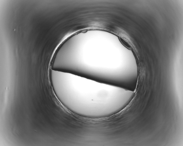 X0000085301292200703161427