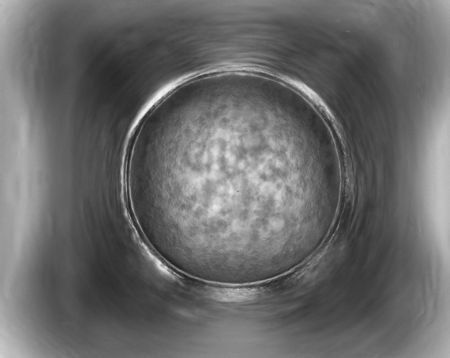 X0000085301294200703161427