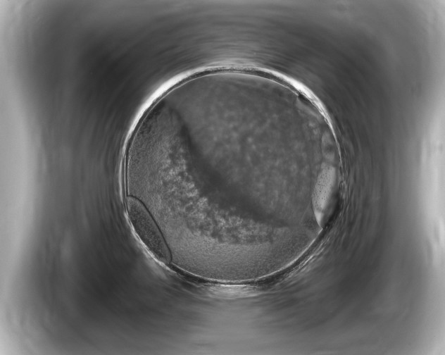 X0000085301295200703161427