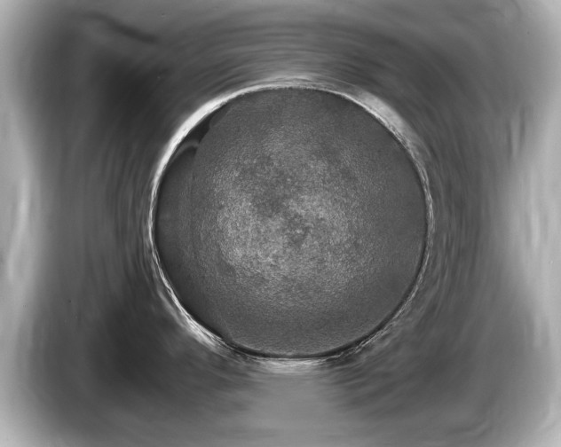 X0000085301296200703161427