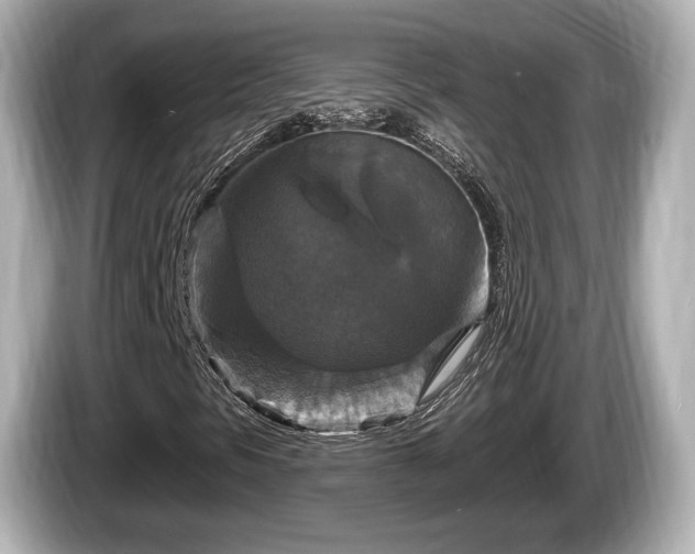 X0000085301297200703161426