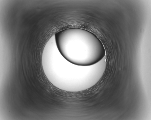 X0000085301298200703161426