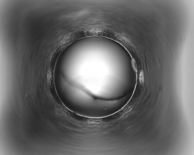 X0000085301299200703161426