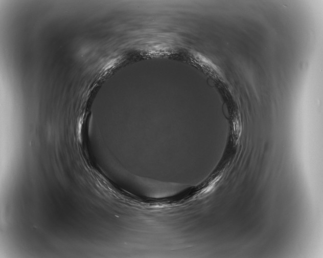 X0000085301300200703161426