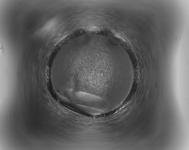 X0000085301301200703161426