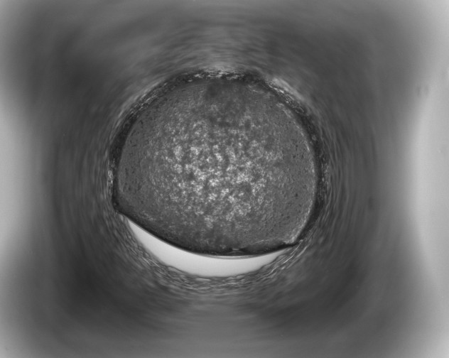 X0000085301302200703161426