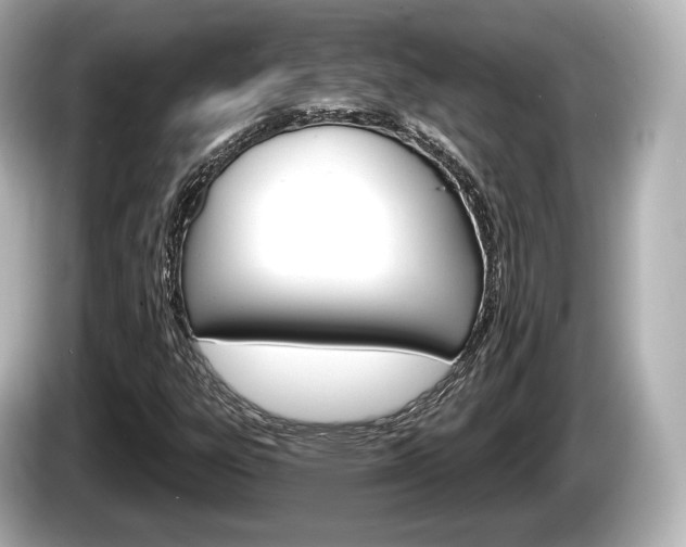 X0000085301303200703161426