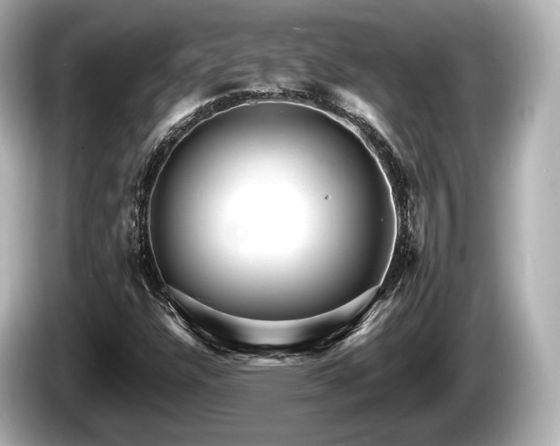 X0000085301304200703161426