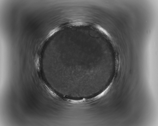 X0000085301305200703161426