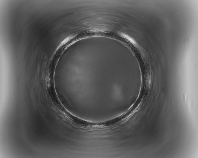 X0000085301306200703161426