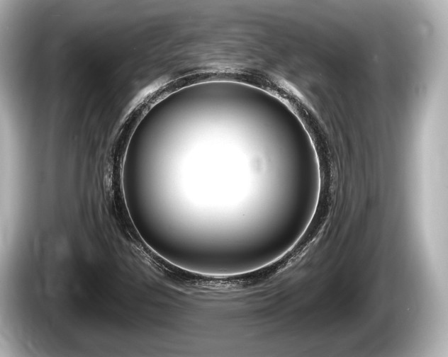 X0000085301307200703161426