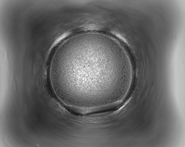 X0000085301309200703161426