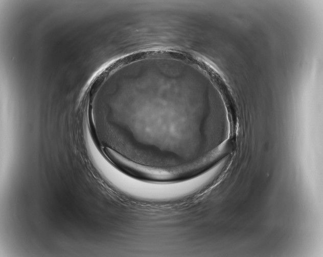 X0000085301310200703161426