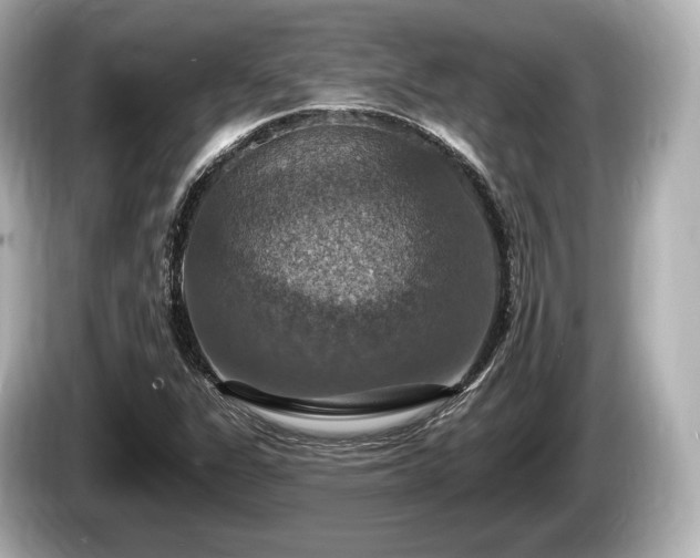 X0000085301311200703161426