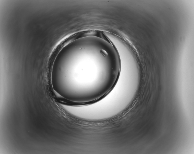 X0000085301312200703161427