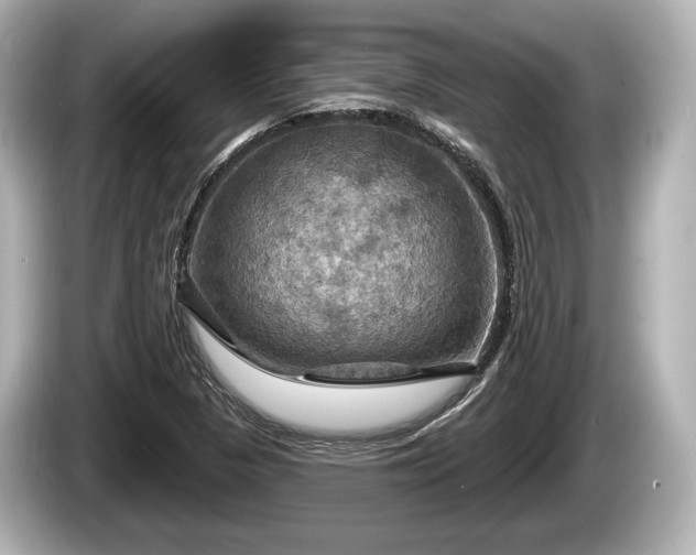 X0000085301313200703161427