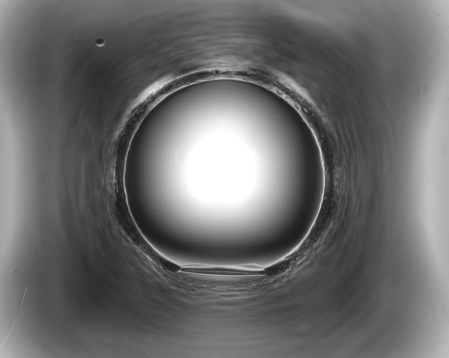 X0000085301315200703161427