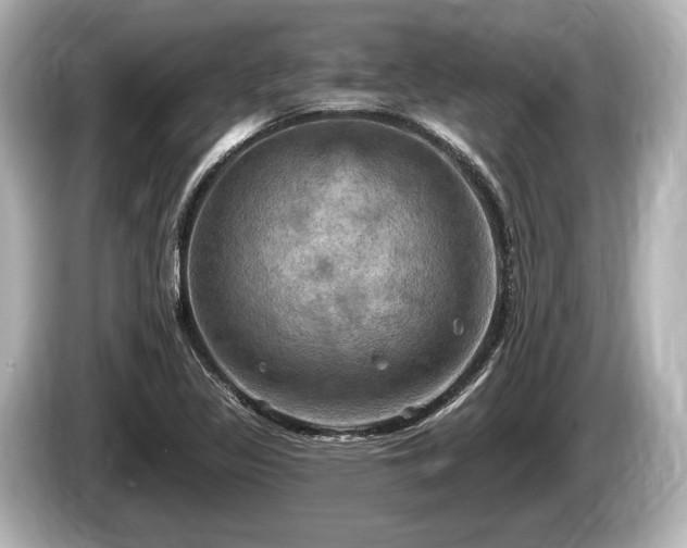 X0000085301317200703161427