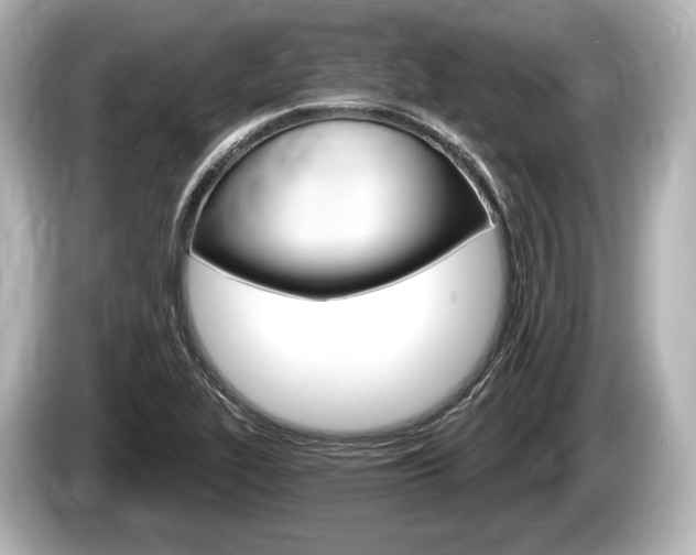 X0000085301319200703161427