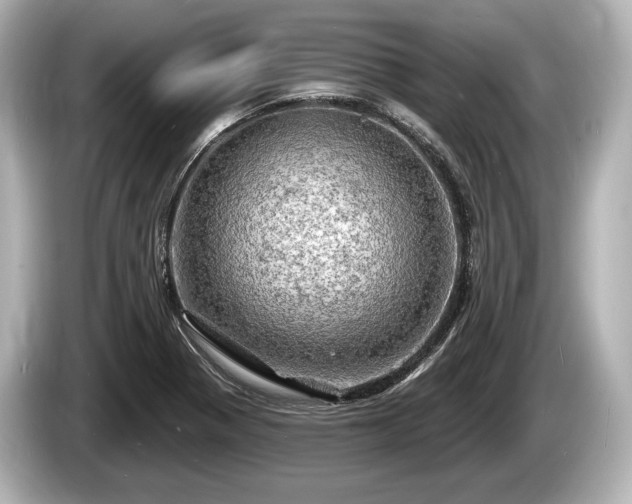 X0000085301321200703161427