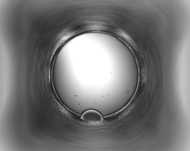 X0000085301322200703161427